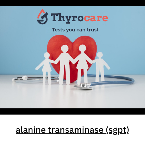 alanine transaminase (sgpt)