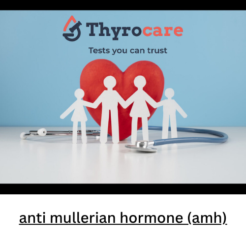 anti mullerian hormone (amh)