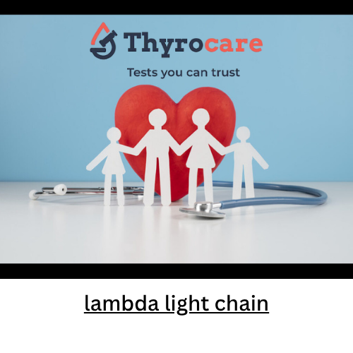 lambda light chain