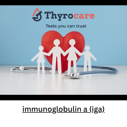 immunoglobulin a (iga)