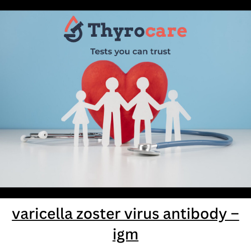 varicella zoster virus antibody - igm